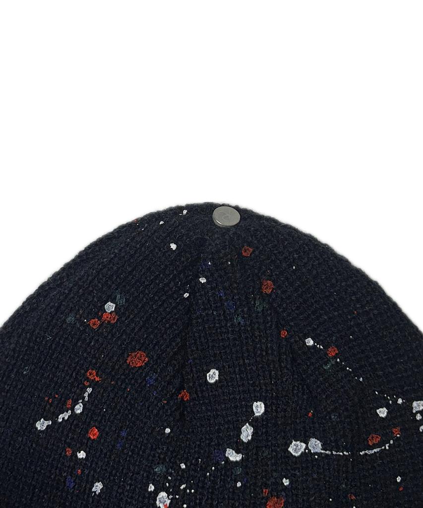 Leondieseu Painting Beanie