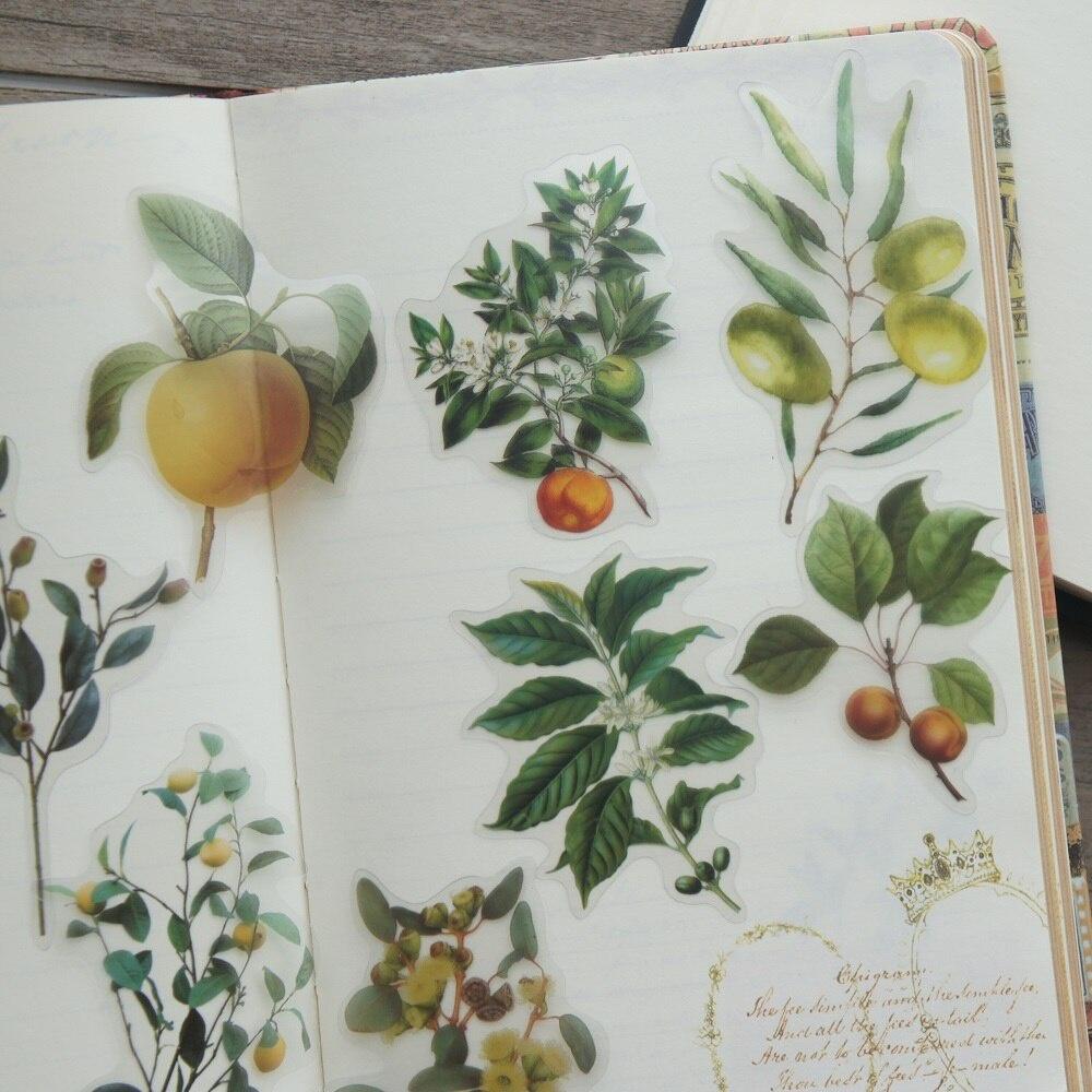 40pcs Yellow Green Red Persimmon Peach Fruit Style Transparent Sticker Scrapbooking DIY Gift Packing Label Gift Decoration Tag