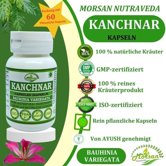 Morsan Nutraveda Kanchnar (Bauhinia Variegata) Extract Capsule | 60 x 500 mg Veg Capsules | Promotes Thyroid Balance (Pack of 2)