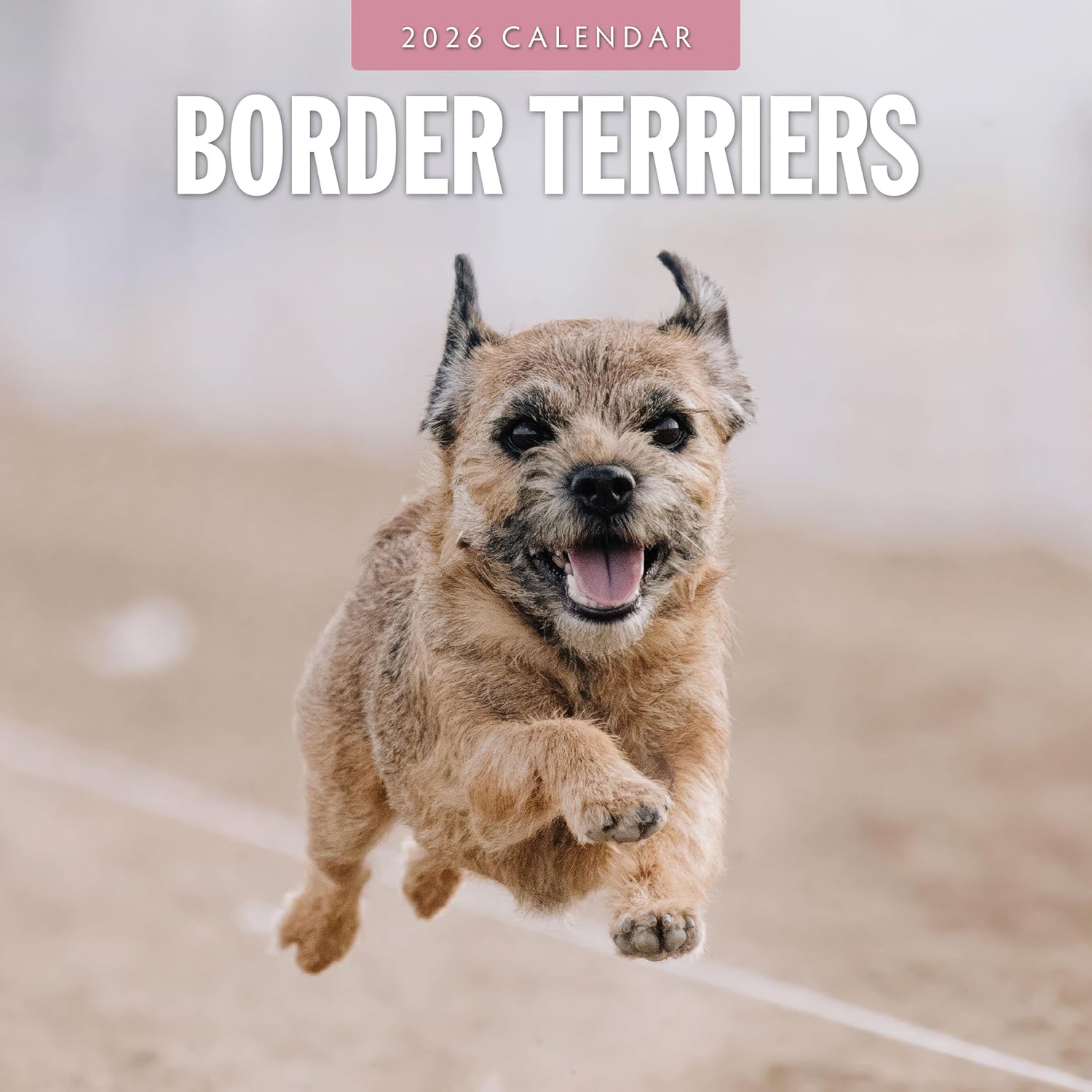Red Robin 2026 Border Terriers Monthly Wall Calendar | 12  x 24  Open | Premium Thick & Sturdy Paper | Hangable 12 Month Calendar | Lined Notes & To