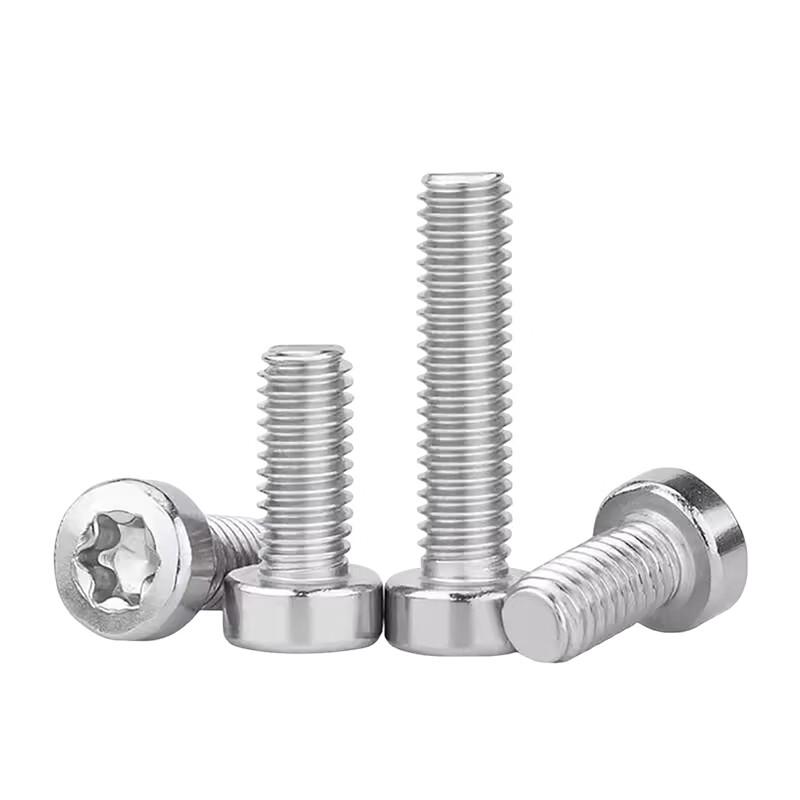 304 Stainless Steel Socket Head Torx Screw