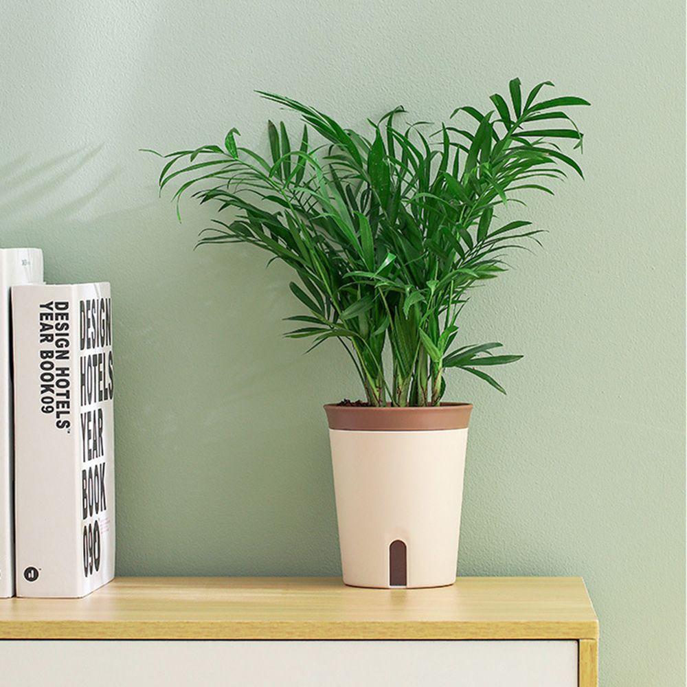 Office Decor Hydroponic Self-Absorbent Plant Pot Self Watering Planter Plant Container Flower Pot