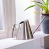 Stainless Steel Long Spout Watering Can for Indoor Plants