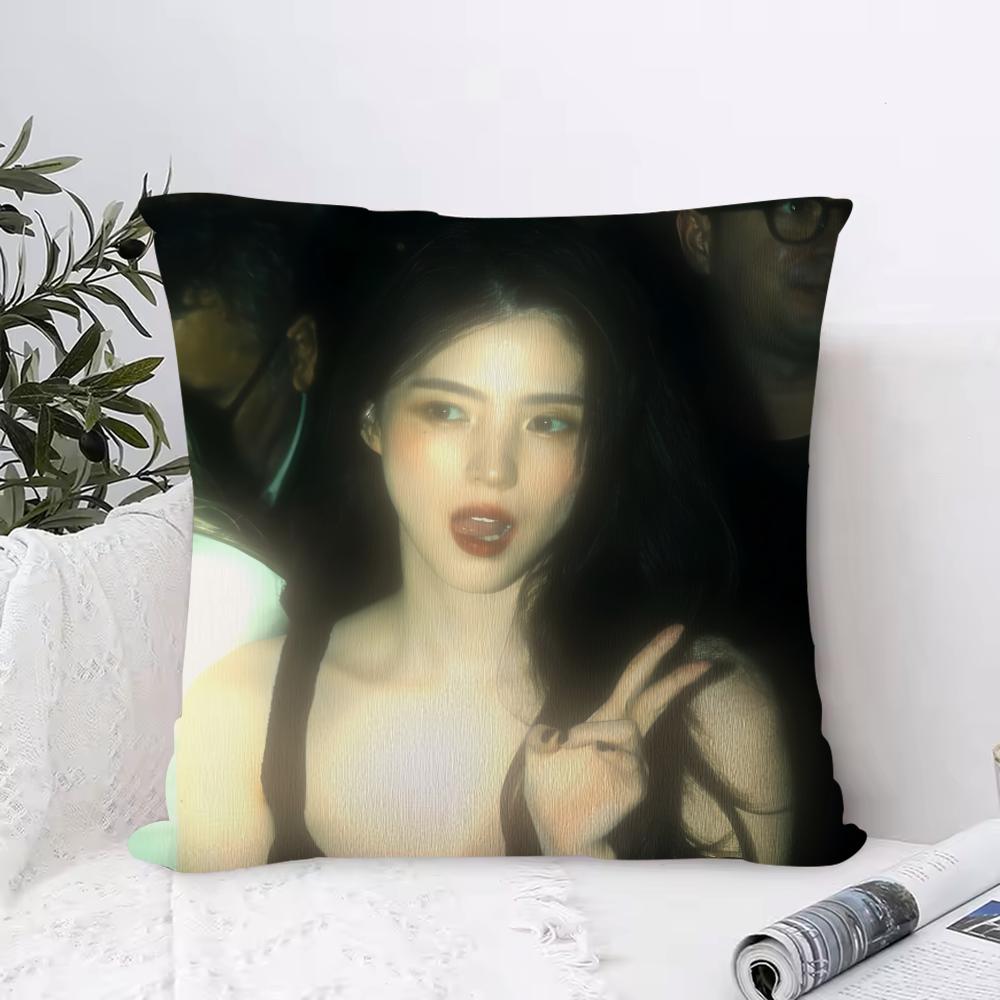 Han Sohee Cushion Cover Anti-dustmite Pillowcase Invisible Zipper Silky Short Plush Sofa Cushion Cover
