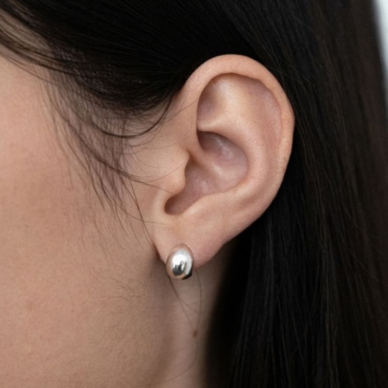 

Яйця-пусети для маленьких собак SILVER