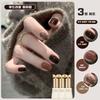 Mirad Chocolate Brown Gel Nail Set 2026 Glitter Powder Color-Positive Bright Nail Set Self Nail 3-Piece Set Manicure 1 Set No. 1