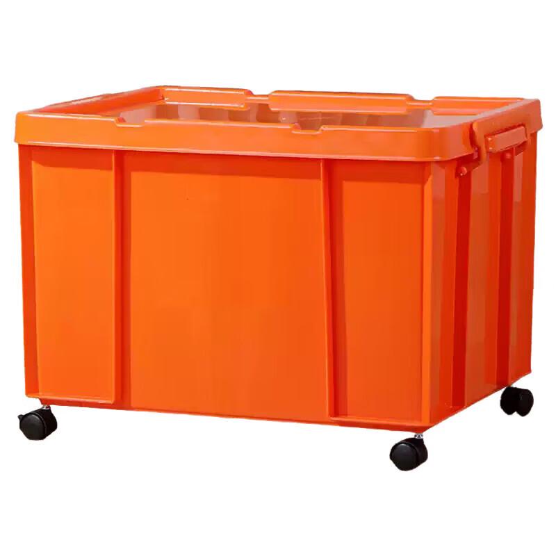 Heavy-Duty Transport and Storage Box