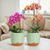 Orchid Pots with Holes for Repotting Flower Pot Plastic Orchid Pot Inner Clear Orchid Planter Self Watering Plant Pot with Injec