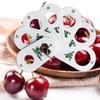 Ruler for Fruits 7 Holes Diameter Gauge Multifunction Professional Cherry Fruit Caliper Standard Measurement Measuring Ruler