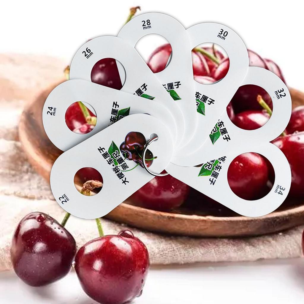 Ruler for Fruits 7 Holes Diameter Gauge Multifunction Professional Cherry Fruit Caliper Standard Measurement Measuring Ruler