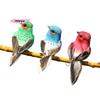 M-1 piece of realistic feathered bird, colorful foam bird, for garden and landscape decoration, craftwork.