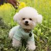 Costumes Puppy Outfit Shirts for Small Cats Dogs Cat Jacket Dog Supplies Pet Clothing Dog  Clothes