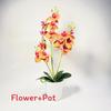 Phalaenopsis Potted Plant Ornament For Office Desk And Living Room Decor