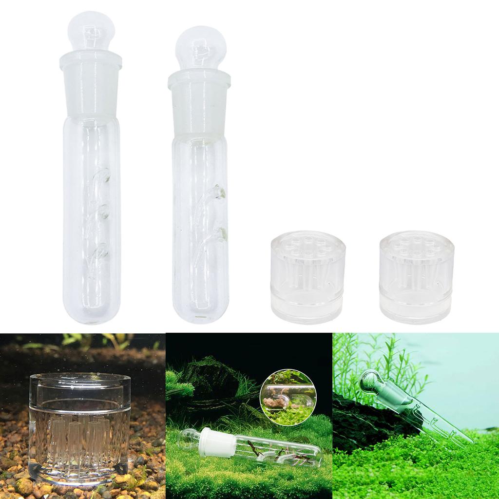 4pcs Easily to Use Planaria Trap for Aquarium Fish Tank Maintaining Clean Fish Tank Suitable for Aquarium Enthusiasts