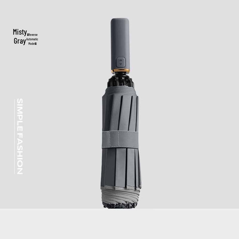 OIMG 10-Rib Automatic Folding Umbrella