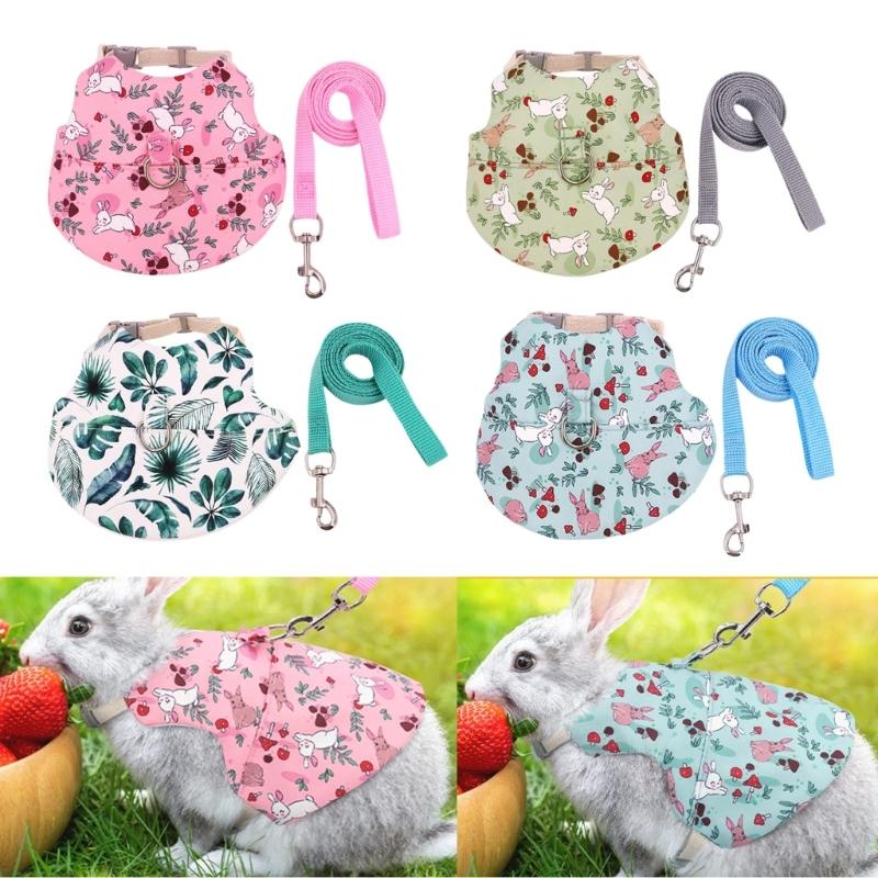 Set Pettorina e Guinzaglio per Animali Piccoli con Trazione Pettorina Regolabile Conigli Pettorina da Esterno per Addestramento Animali Controllo Facile