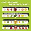 Portable Stackable Silicone Food Storage Container Set Fruit Veg Fresh Keeping Box Leak Proof For Fridge BPA Free Food Grade HD