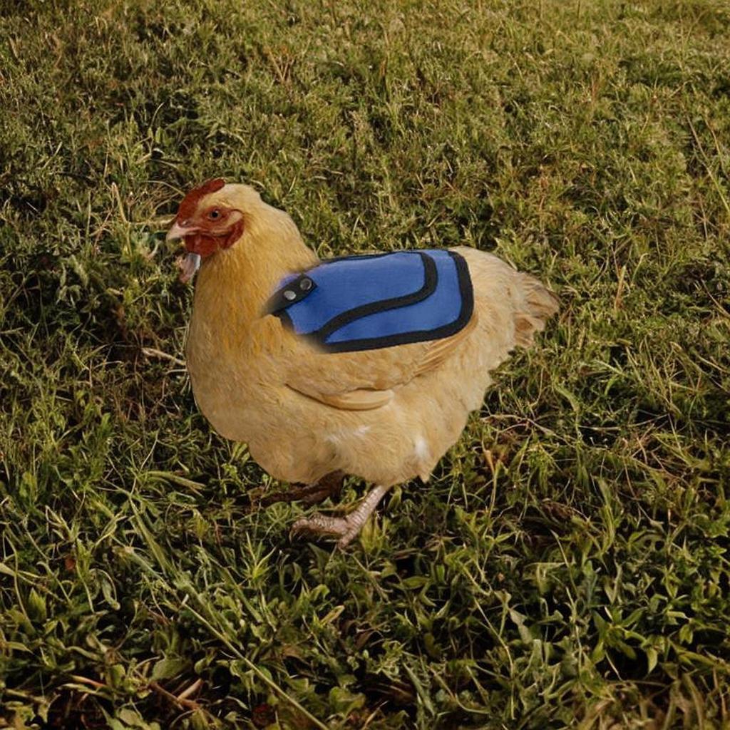 Adjustable Chicken Saddle for Back And Sides with Metal Fasteners, Outdoor Hen Apron