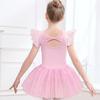 Girls Dance Leotards for Ballet Dress Shiny Tutu Skirted Leotard Gymnastics Bodysuit Ballet Wear Stage Performance Costume