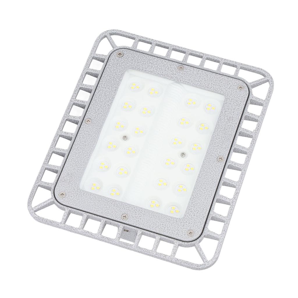 Światło LED przeciwwybuchowe 50W IP66 Wodoodporne Kolor marmurkowy Szkło hartowane Wzmacniane Fabryka Magazyn