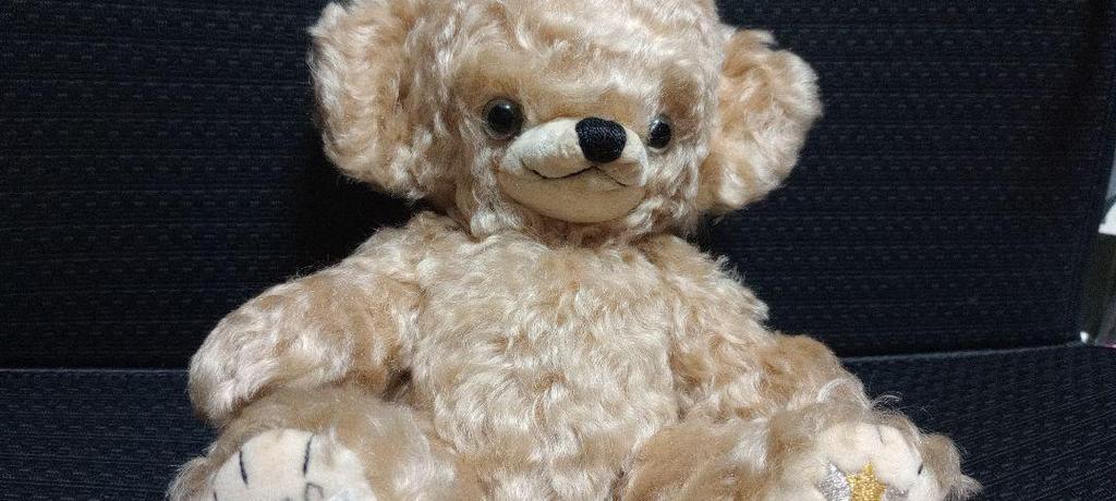 [USED] Merrythought Teddy Bear (crimson cloak with gold embroidery)