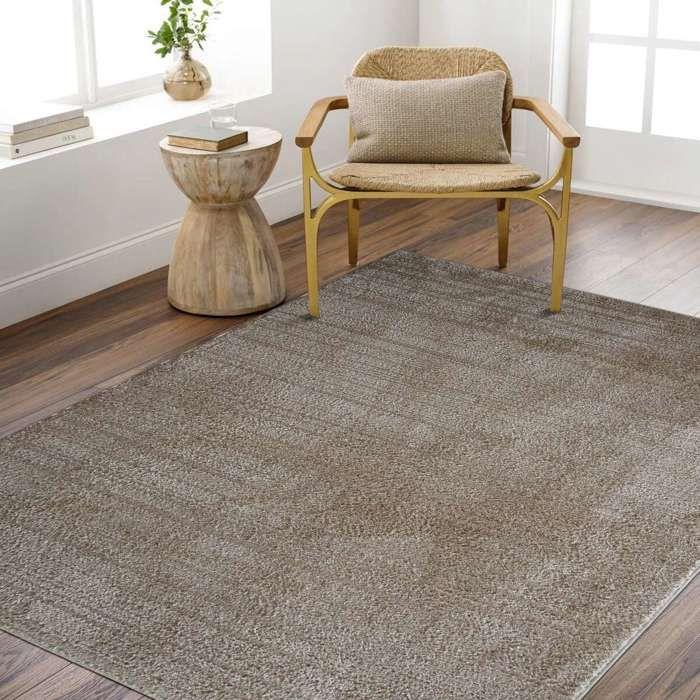 Contemporary Beige Rug 160x240