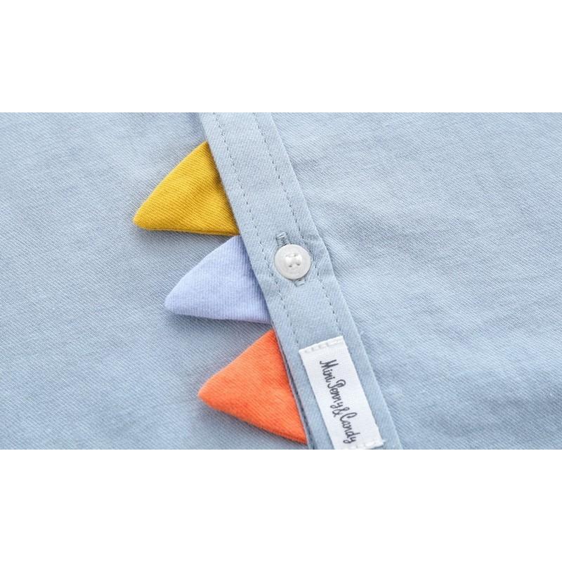 Boys' Shirts, Spring and Autumn Long-sleeved Autumn Clothes, Cotton, Boys, Handsome Tops, Children