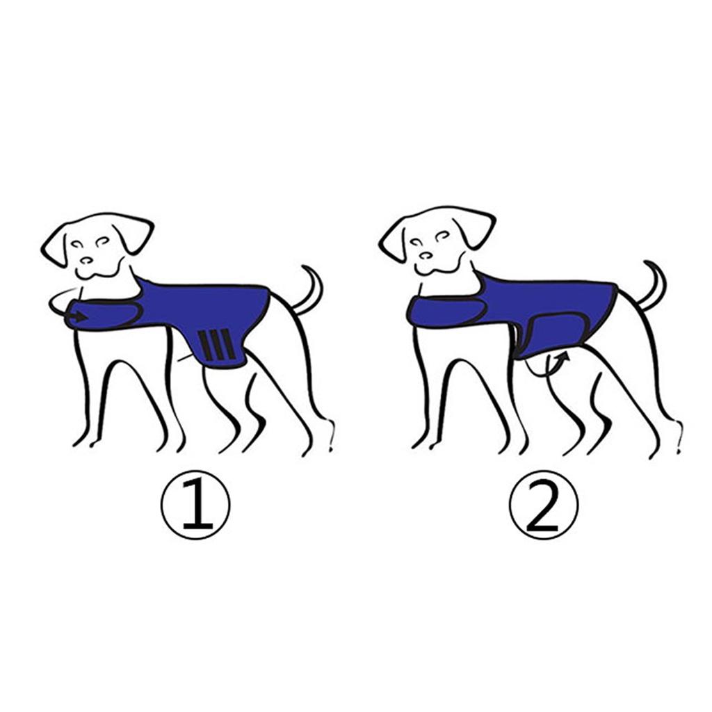 thunder harness for dogs