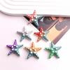 Gradient Rainbow Starfish Resin Phone Case & DIY Jewelry Hair Accessories
