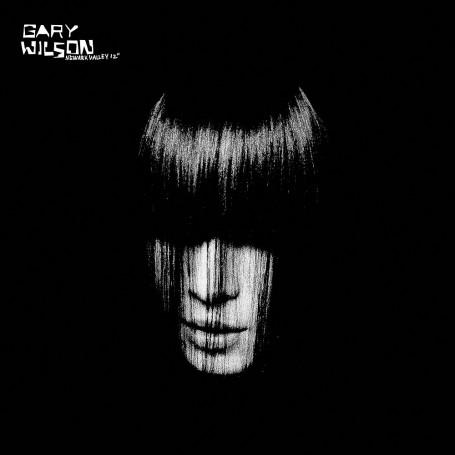 

LP Record GARY WILSON - Newark Valley STH2094 Stones Throw Re 2004 US Jazz