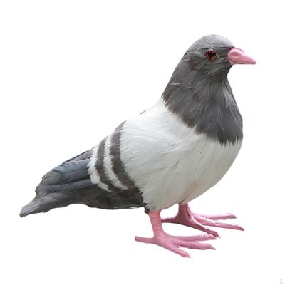 Lebensechte Taubenskulptur: Exquisite Gartendekoration für den Außenbereich