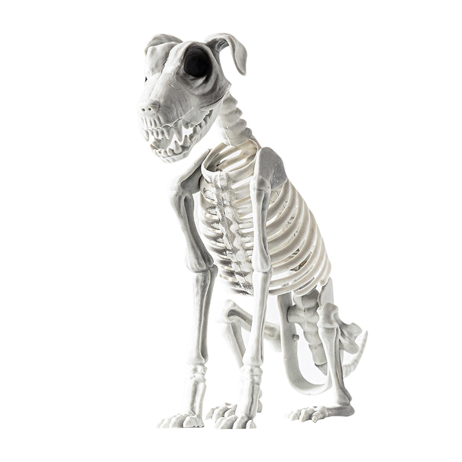 

Украшение для вечеринки, скелет животного, реквизит для украшения скелета One Size белый