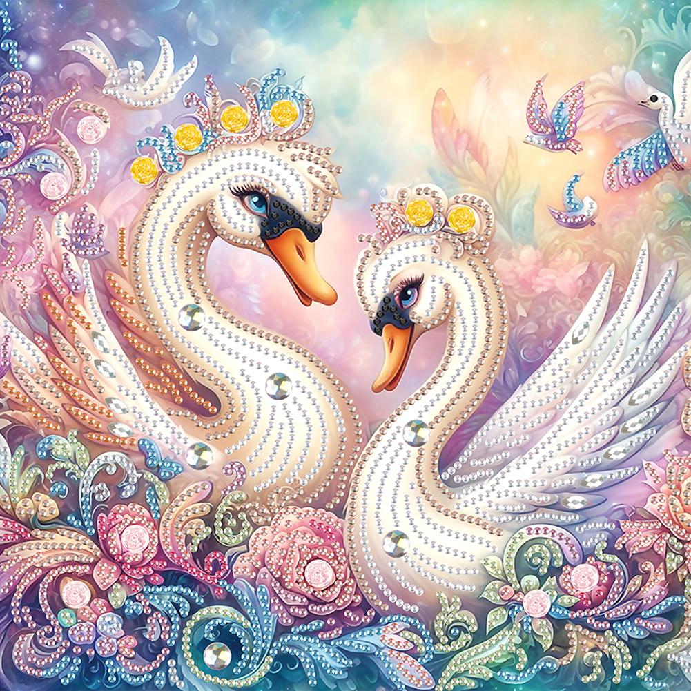 5D DIY Partial Special Shaped Drill Diamond Painting Kit Peacock Swan Decor