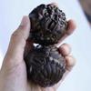 Boxwood Carved Lion Head Pixiu Handheld Massage Ball - Animal-Themed Gift for Elders