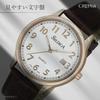 Crefer Analog Waterproof Watch with Leather Men's Strap, Brown, SD-AM050-WTG