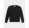 Толстовка Polo Ralph Lauren 710888284003
