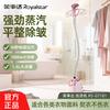 Rongshida Vertical Multifunctional Steam Hanging Iron
