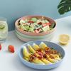 Eco-Friendly Straw Mixed Color Side Plates Set