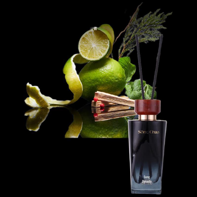 Song Dynasty Odor Eliminating Reed Diffuser