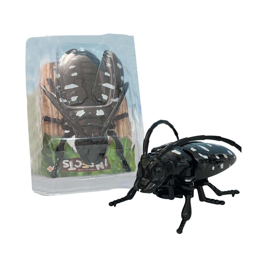 Realistic Beetle Insect Model Toy Crawling Bug Replica Educational Collectible for Kids and Adults Durable Plastic Construction