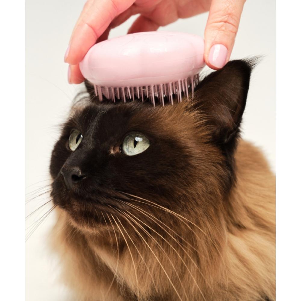 Tangle Teezer Cat Grooming Brush 2 Types Choice 1 painted