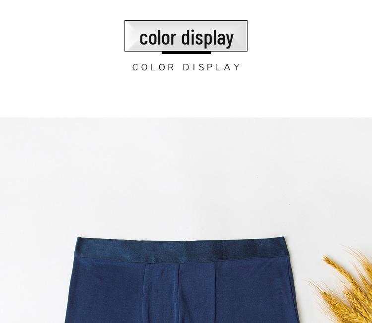 Men's Plain Silk Seamless Sport Boxer Briefs - Breathable Mulberry Silk, Elastic Fit, Thin Summer Style