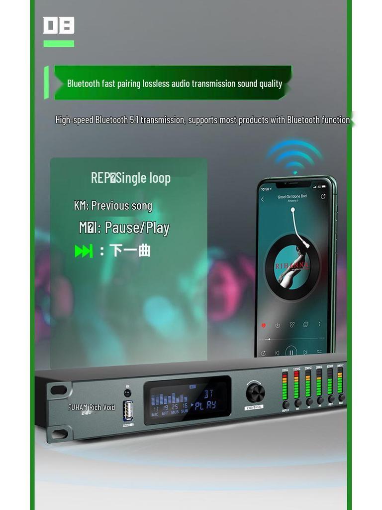 Professional Karaoke Stage & Home Audio Processor with Preamp, Anti-Howl, Equalizer, and Reverb Effects