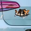 Cute Corgi Hiding In the Hole Sticker, 1pc Funny Car Decal, Suitable for Cars, Trucks, Motorcycles, Walls