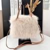 2025 Women's Fluffy Crossbody Bag: Autumn/Winter Furry Casual Tote