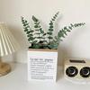 Retro Eucalyptus Money Leaf Branch: Artificial Green Plants for Flower Arrangements, Nordic Style Decor