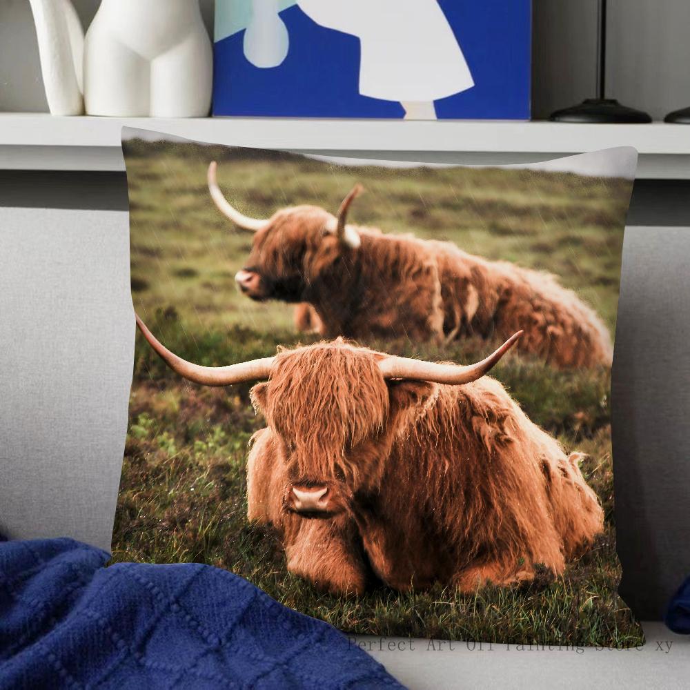 Scottish Highland Cattle Pillow Case Fashion Square Pillowcase Bedroom Sofa Room Ins Decoration Leisure Cushion Cover 40x40