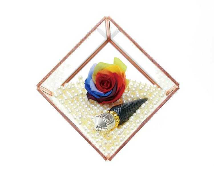 Small Retro Cube Glass Greenhouse for Preserved Flowers and Succulents