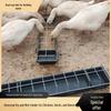 Chicken Duck Goose Dual-use Water and Feed Trough - Wet/Dry Feeding for Free-range Poultry, Non-Tip Design