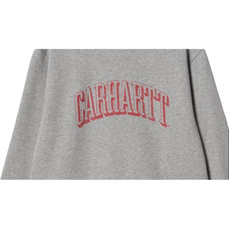 Carhartt WIP FW22 Graffiti Print Sweatshirt Men Sweatshirt Gray I030939-19X-XX